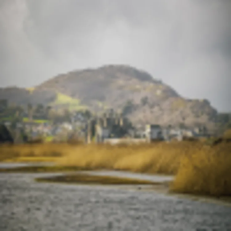Conwy Castle