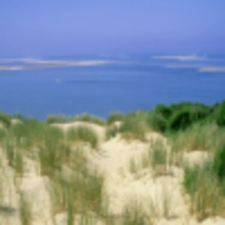 Bassin d'Arcachon