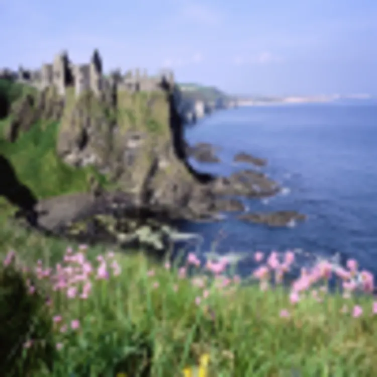 Dunluce Castle, Bushmills