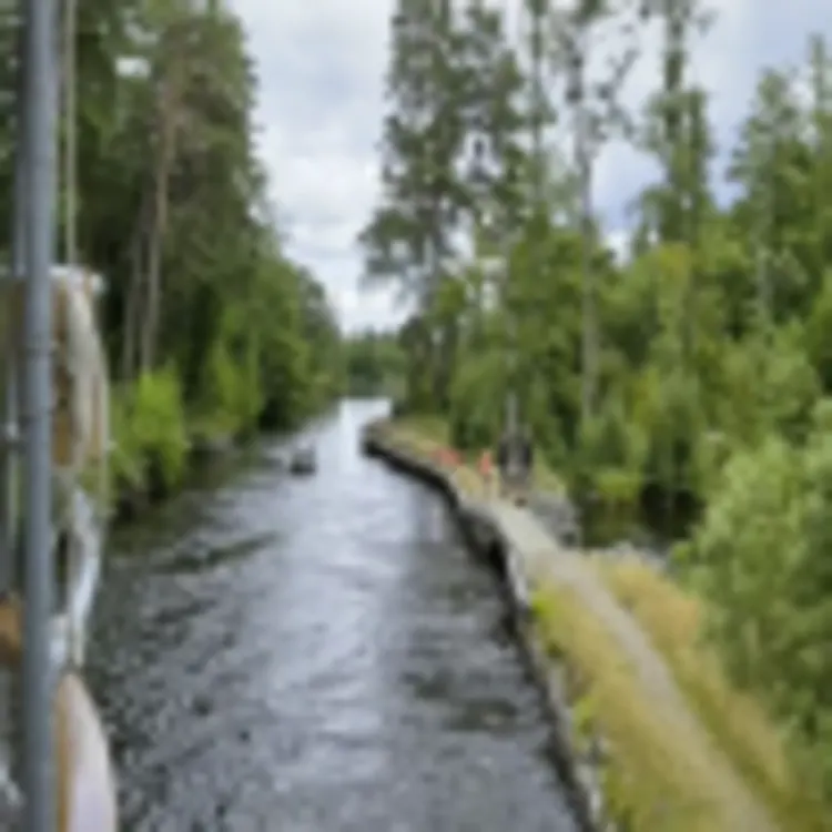 Göta Kanal Impressionen