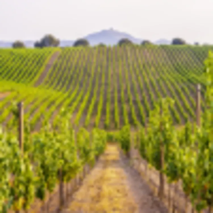 Alentejo