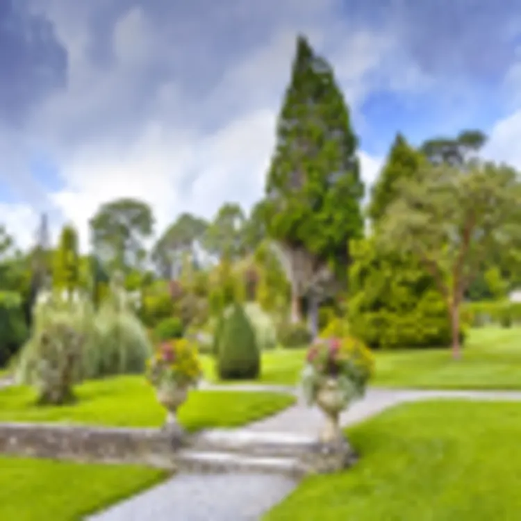 Muckross Garden