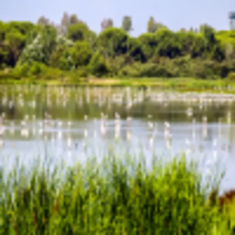 Huelva