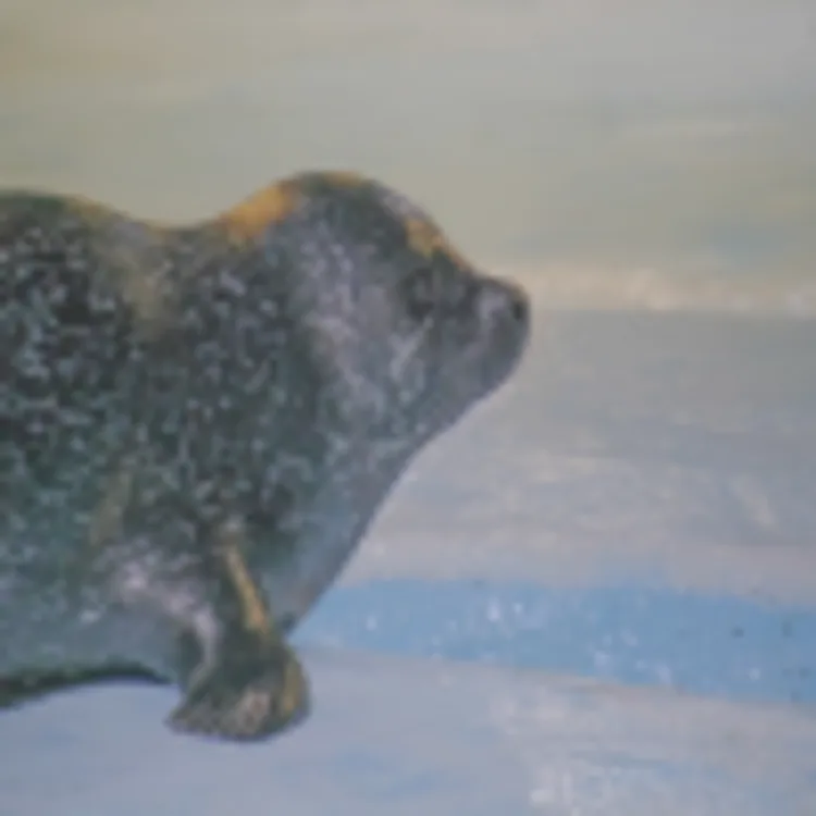 Polaria Arctic Center