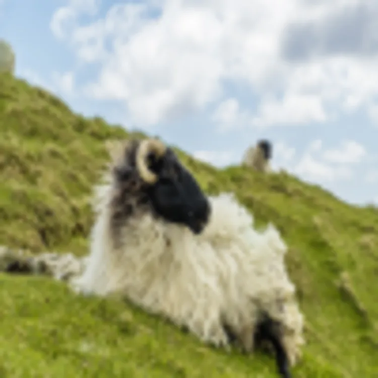 Achill Island