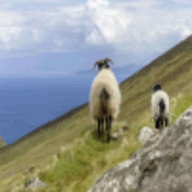 Achill Island