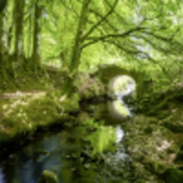 Exmoor-Nationalpark