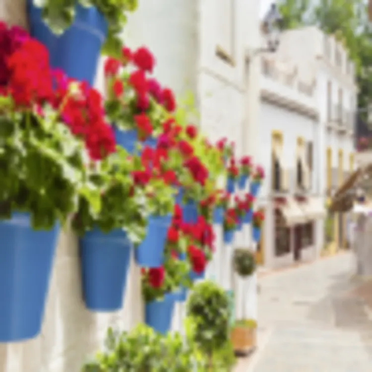 Marbella