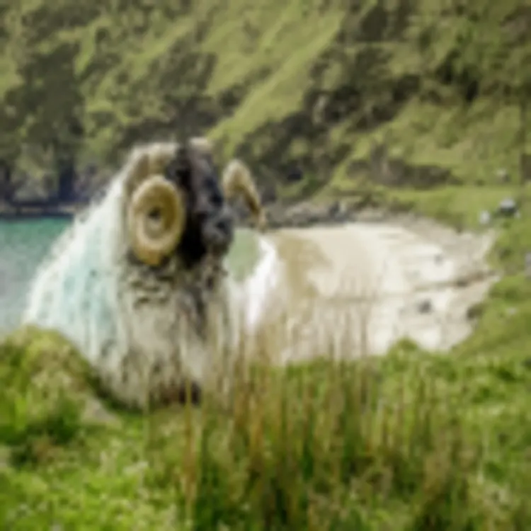 Achill Island