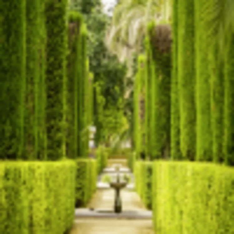 Alcázar
