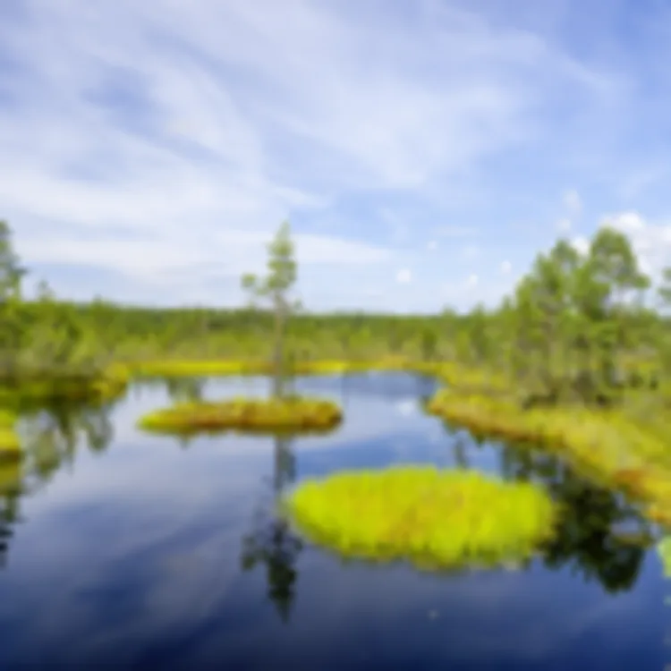 Lahemaa Nationalpark