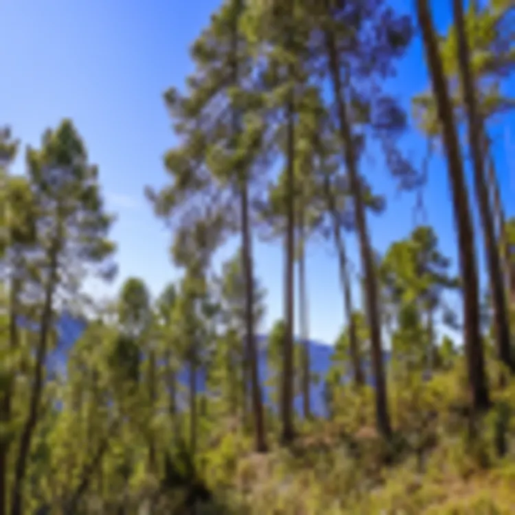 Sierras de Cazorla Nationalpark