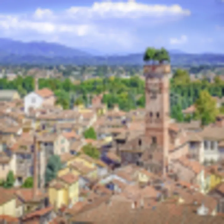 Guinigi Turm, Lucca