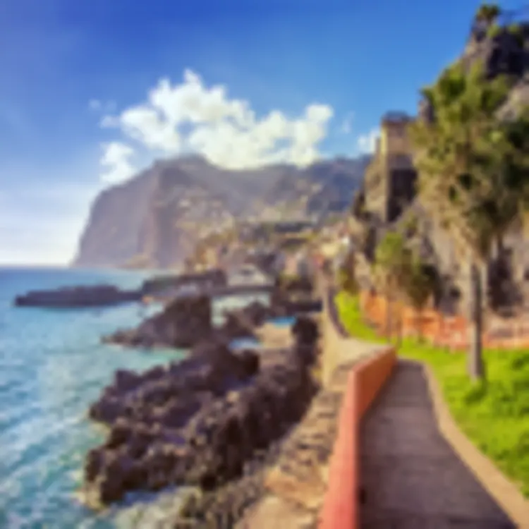 Camara de Lobos