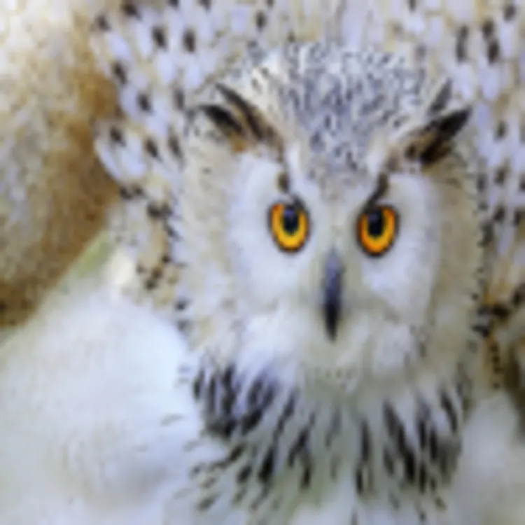 Ranua Wild Park