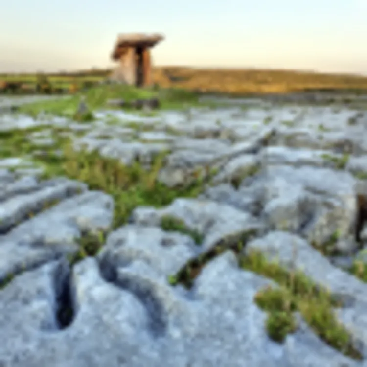 Burren