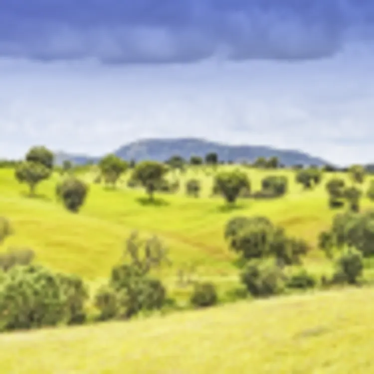 Alentejo