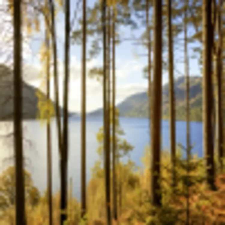 Loch Lomond