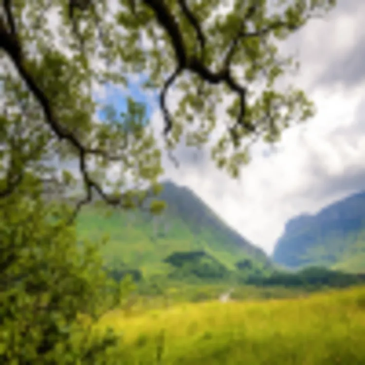 Glencoe