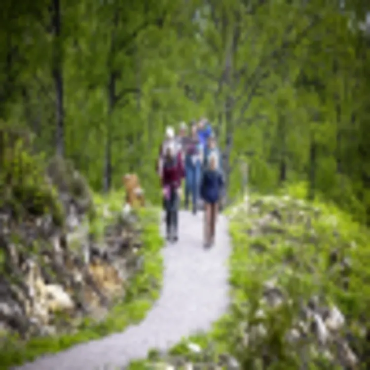 Dundreggan Rewilding Centre
