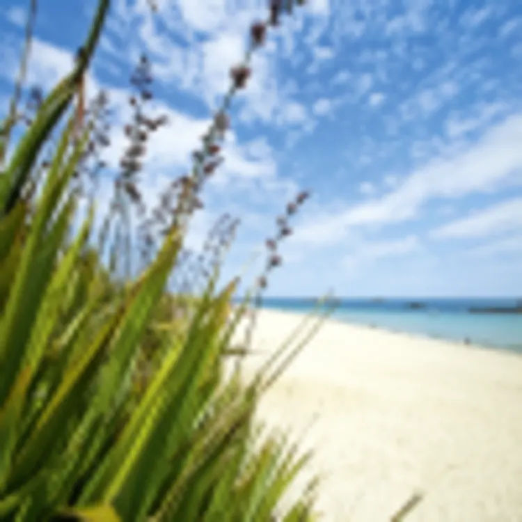 Shell Beach, Herm