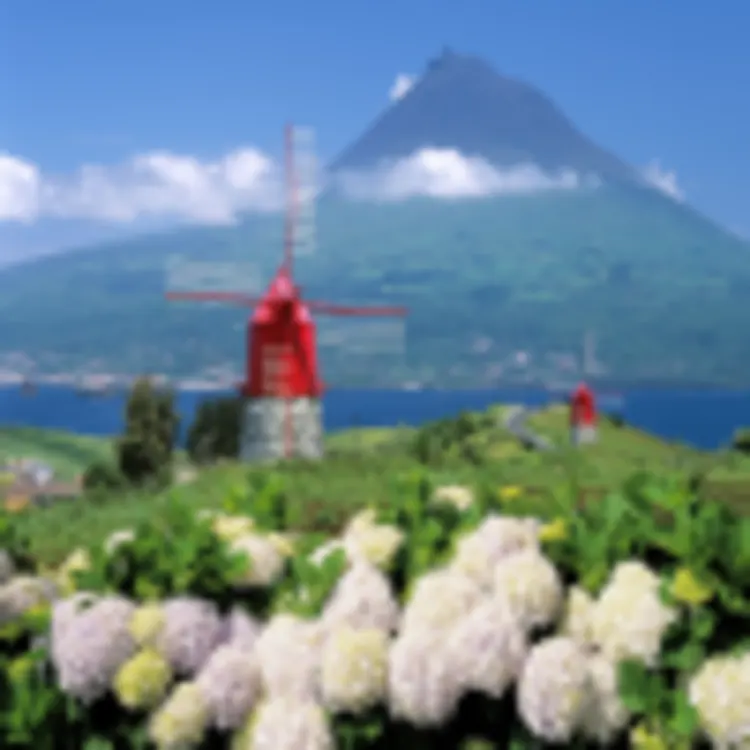 Windmühle auf Faial mit dem Vulkankegel Pico im Hintergrund