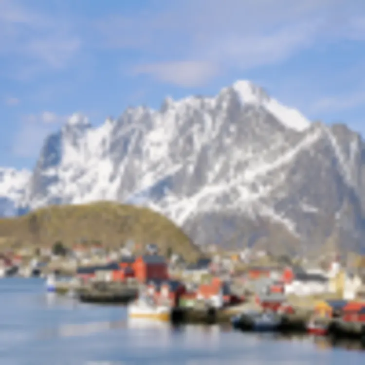 Reine