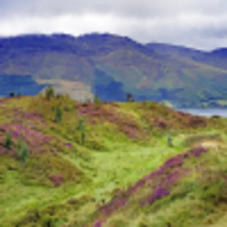 Mourne Mountains