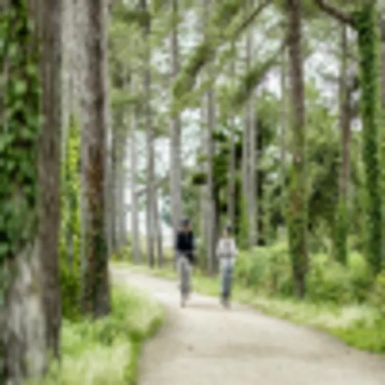 Railway Walk, Jersey