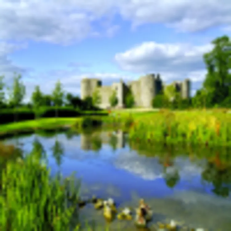 Roscommon Castle