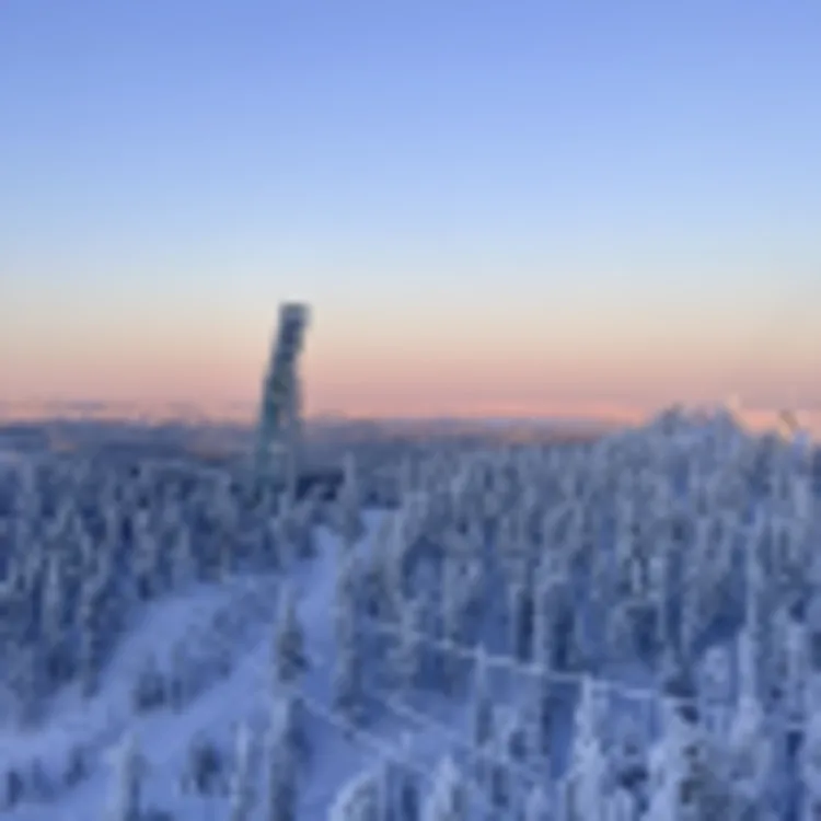 Ruka