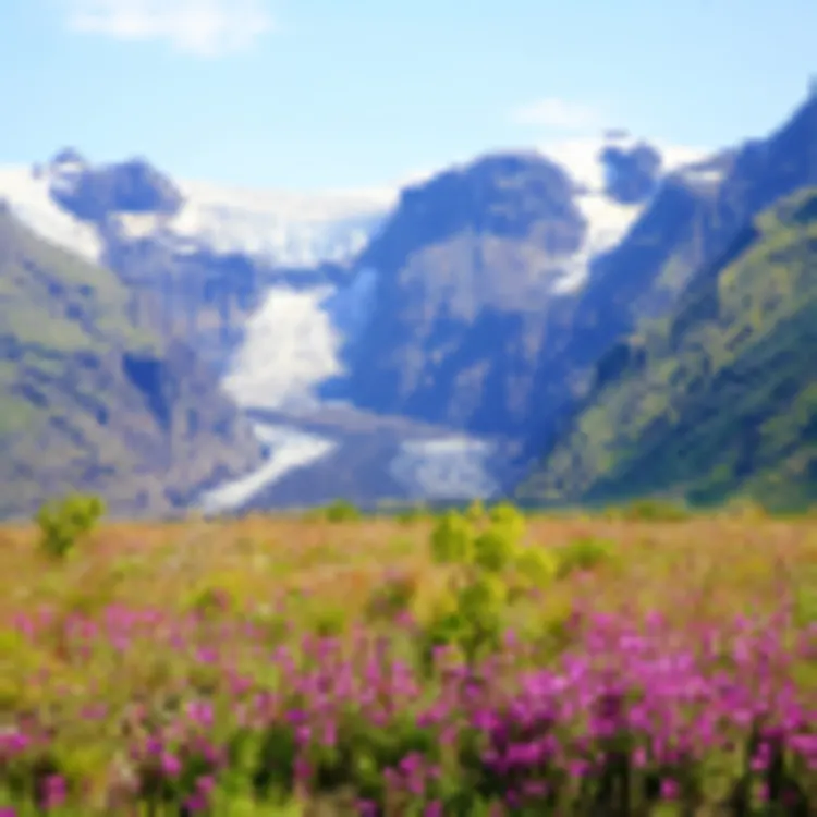 Skaftafell