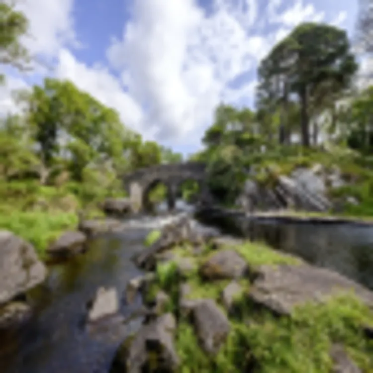 The Old Weir Bridge, Killarney Nationalpark