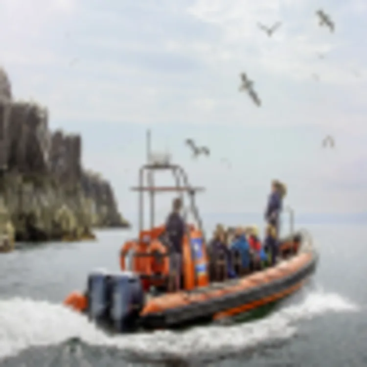 Bootsfahrt Bass Rock