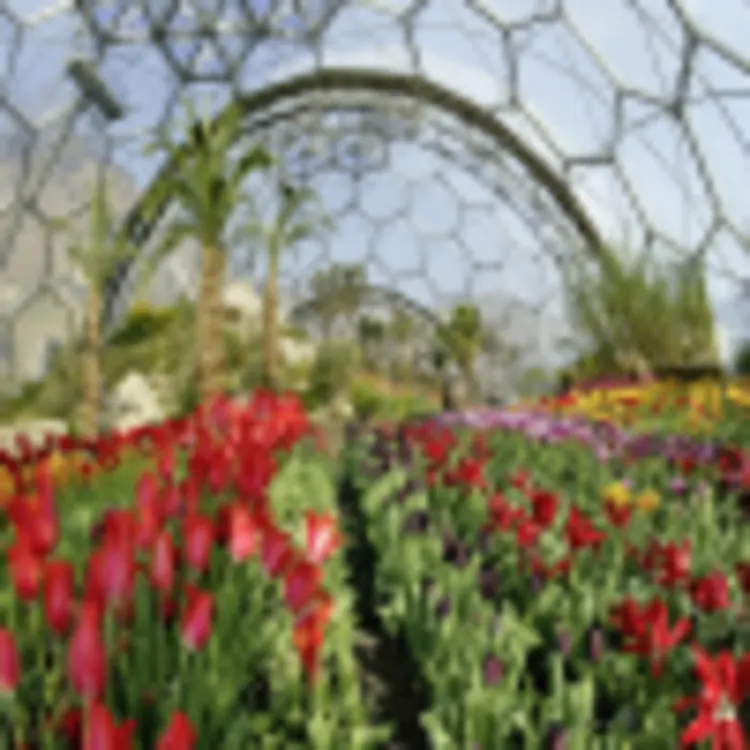 Eden Project