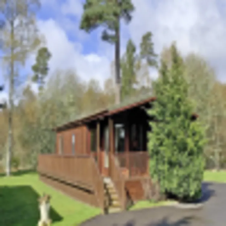 Woodland Lodges
