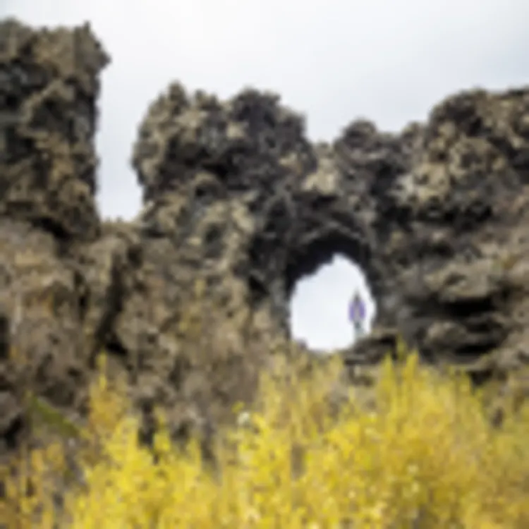 Dimmuborgir Lavafeld