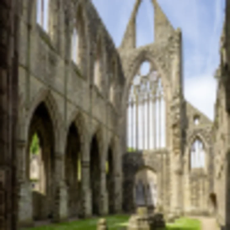 Tintern Abbey