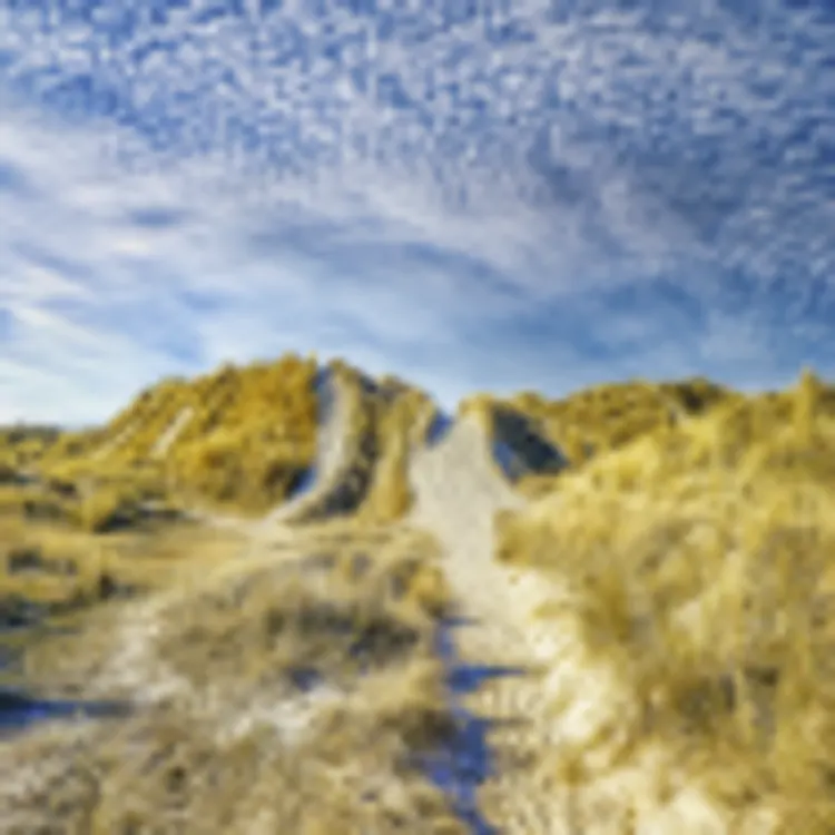 Fanø