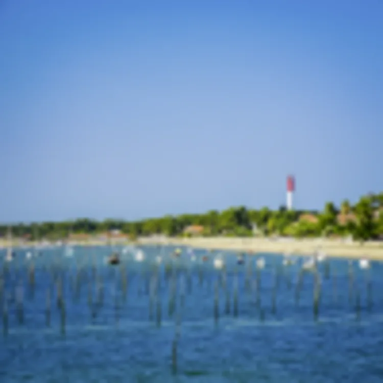 Cap Ferret