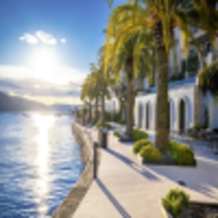 Porto Montenegro