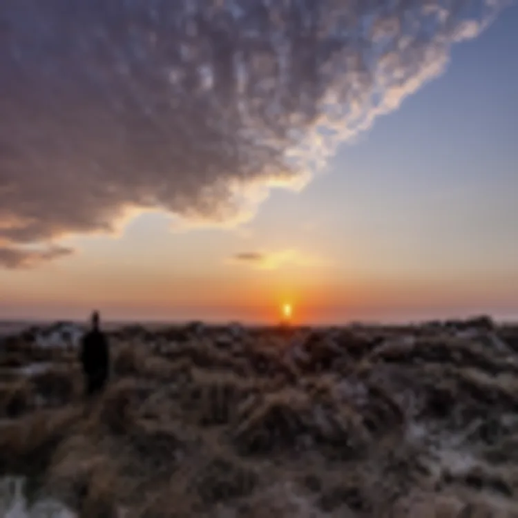Fanø
