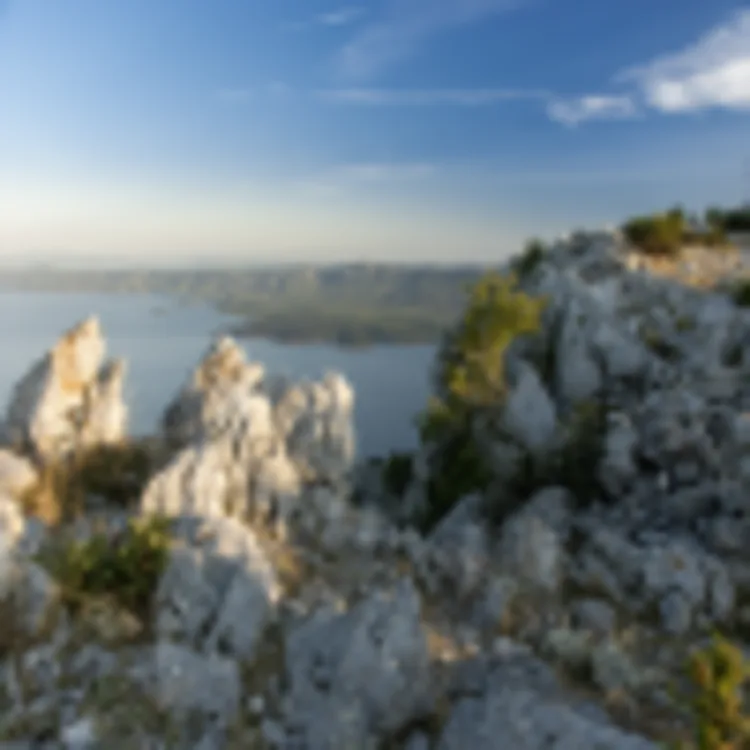 Brac