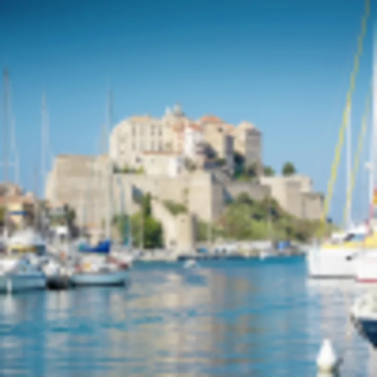Calvi