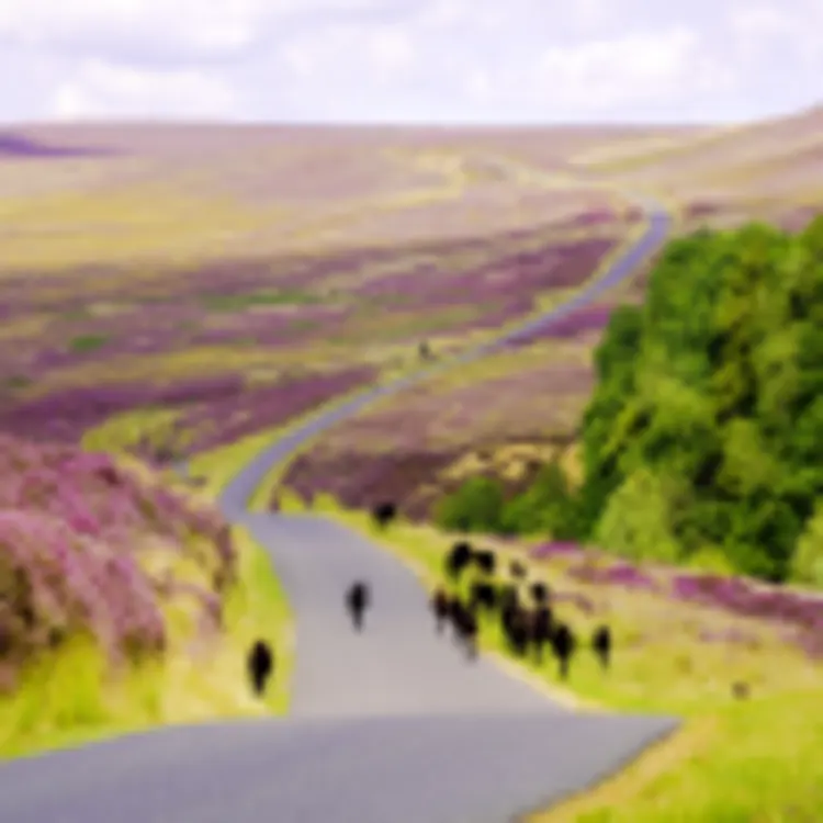 North York Moors Nationalpark