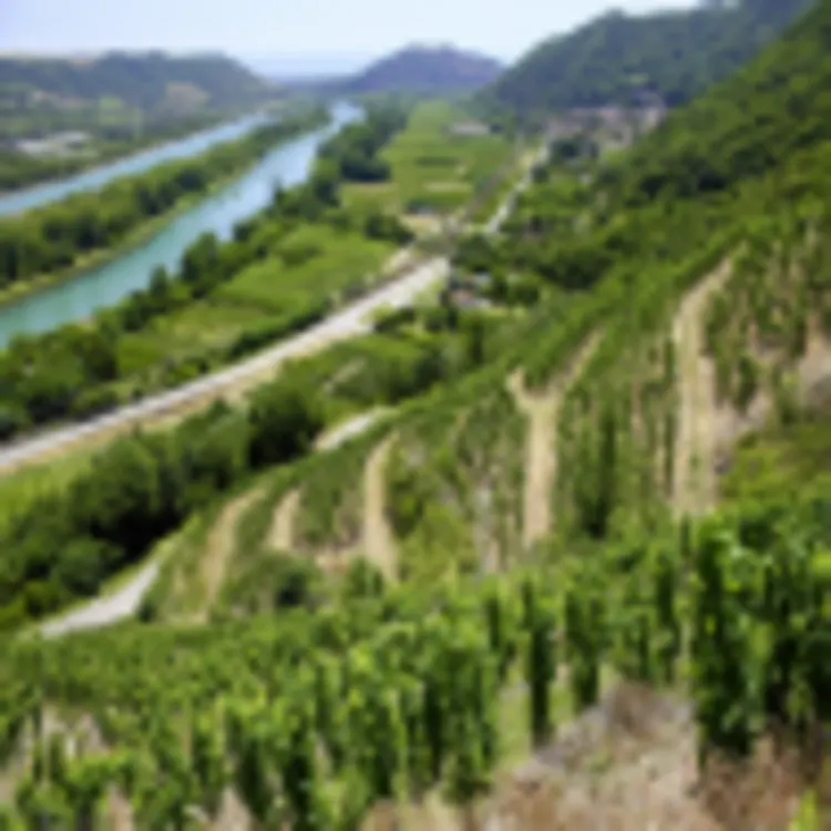 Côtes du Rhône