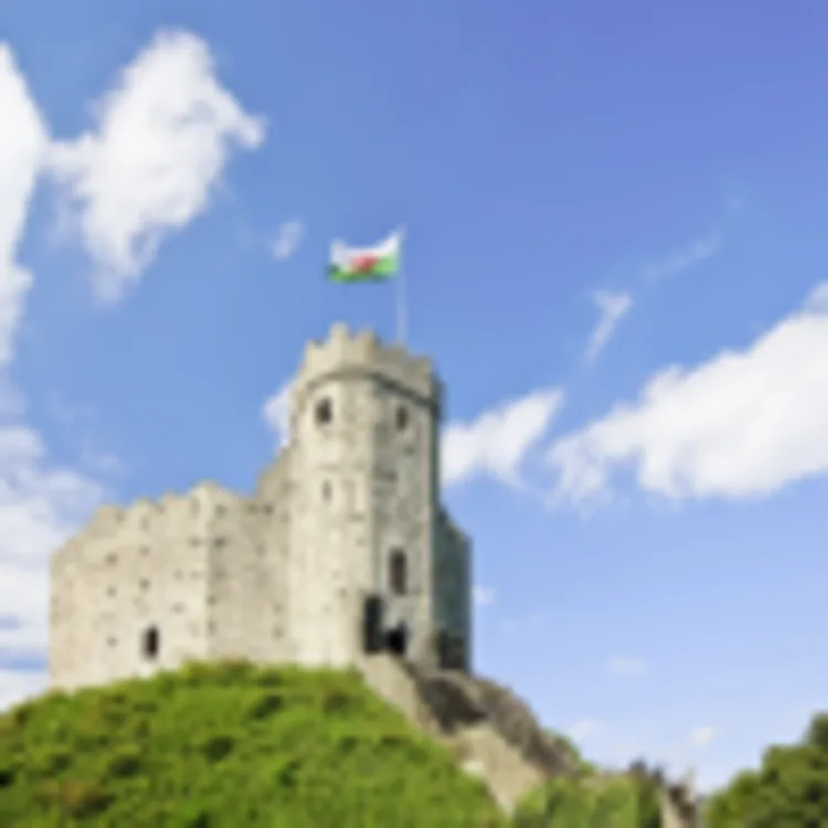 Cardiff Castle