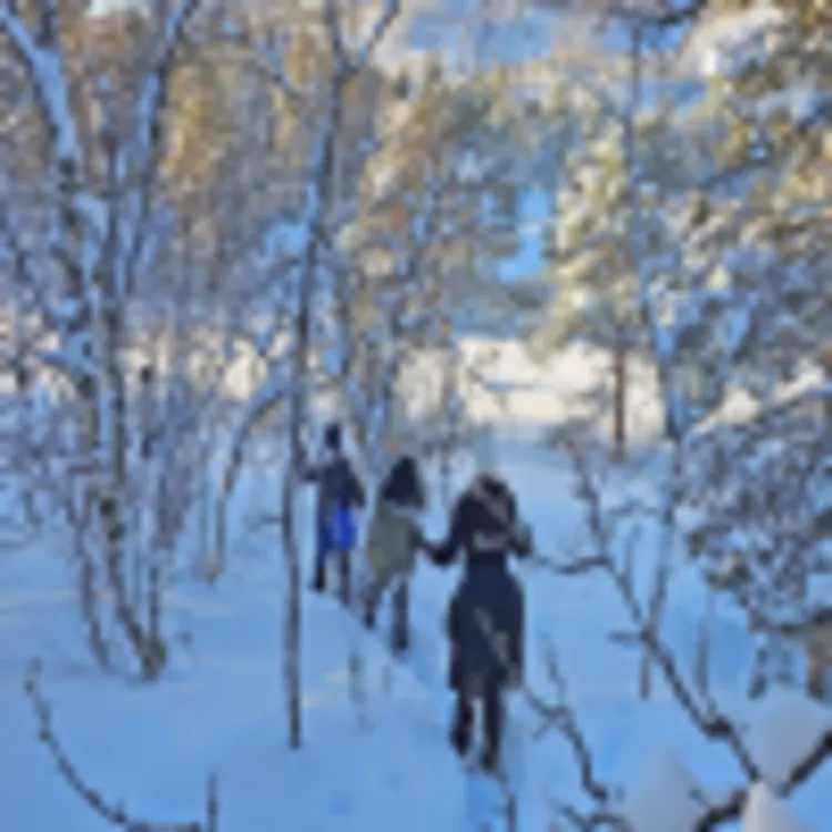 Bjørnfjell Mountain Lodge