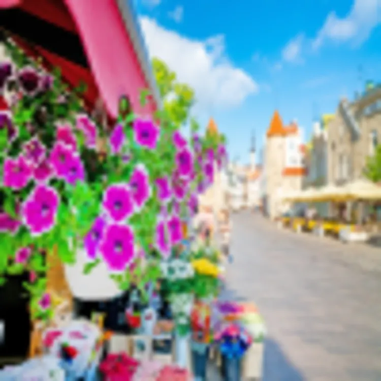 Tallinn