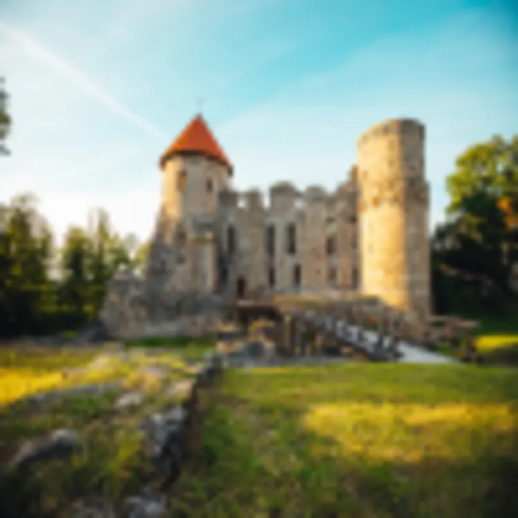 Livonisches Schloss, Cesis